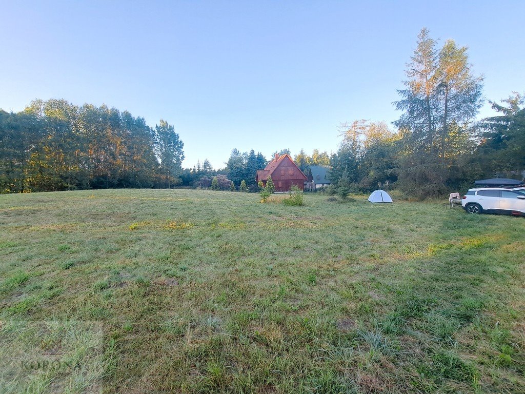 Działka rekreacyjna na sprzedaż Borowe  730m2 Foto 8