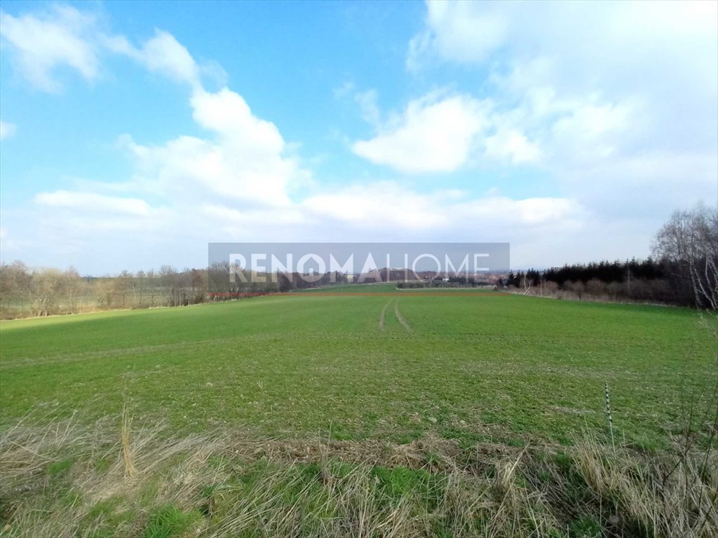 Działka budowlana na sprzedaż Witoszów Górny  1 518m2 Foto 10