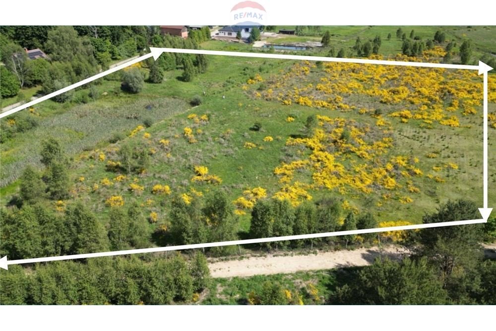 Działka inna na sprzedaż Bukowa  50 000m2 Foto 1