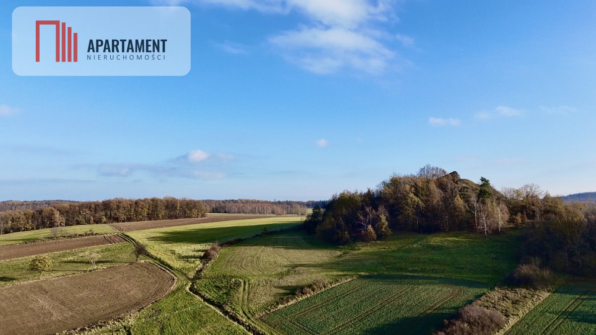 Działka gospodarstwo rolne na sprzedaż Pomocne  40 000m2 Foto 17