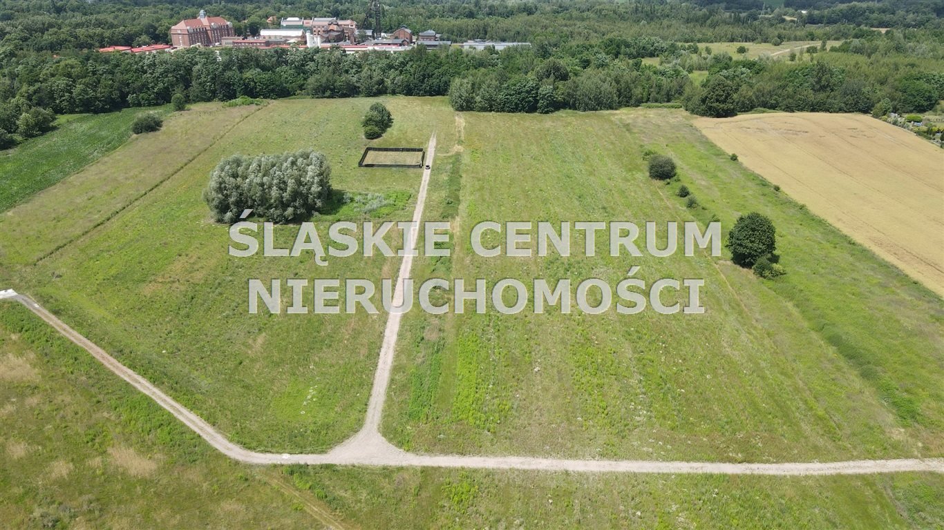 Działka budowlana na sprzedaż Zabrze, Biskupice, Kasprowicza  694m2 Foto 6