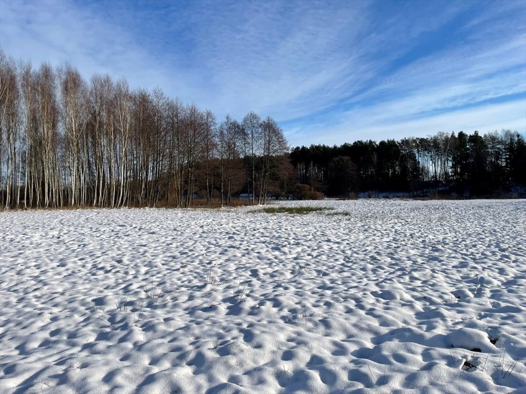 Działka leśna na sprzedaż Kowalewko, Szyjki  800m2 Foto 6