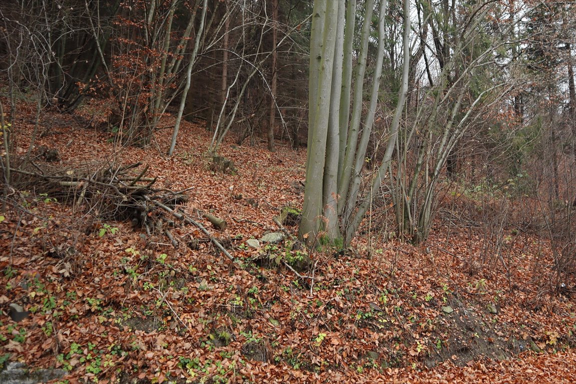 Działka 12 080 m² z widokiem na Wisłę i góry Wisła, Bukowa  12 080m2 Foto 1