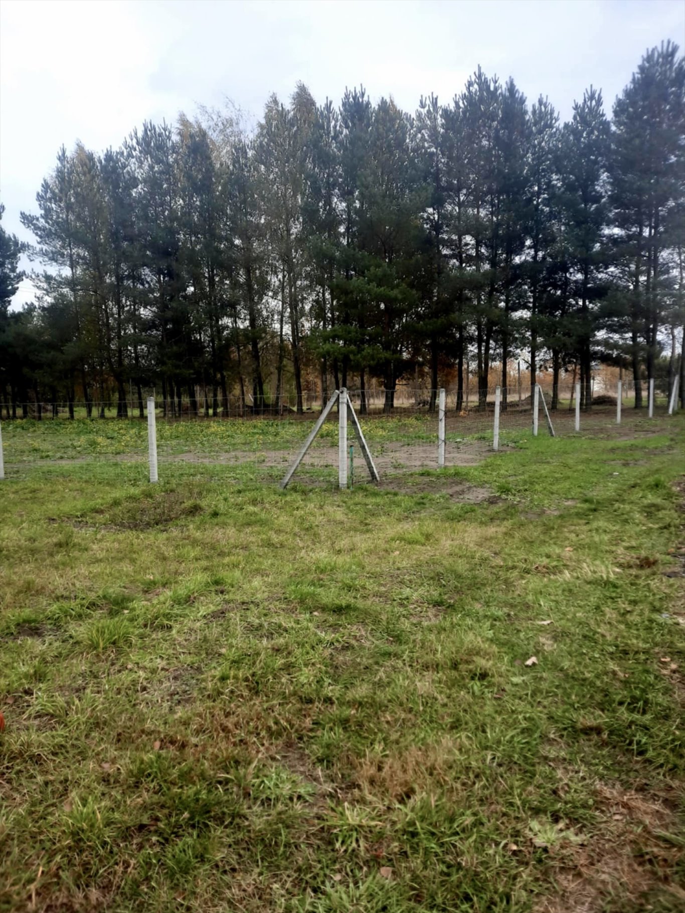 Działka budowlana na sprzedaż Wierzbin  1 545m2 Foto 1