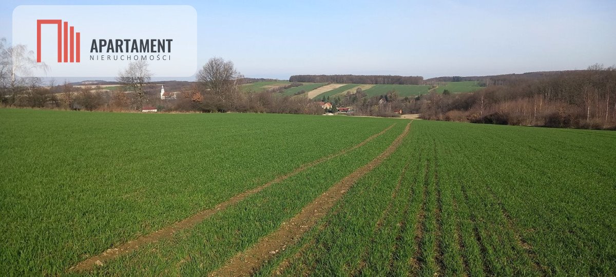 Działka rolna pod inwestycję 24 800 m2 z widokiem Pomocne  24 800m2 Foto 1