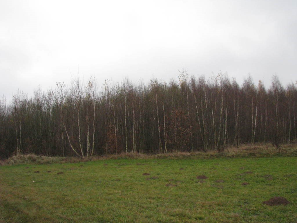Działka budowlana na sprzedaż Kielce 1 997m2 Foto 1 Działka budowlana na sprzedaż Kielce 1 997m2 Foto 1