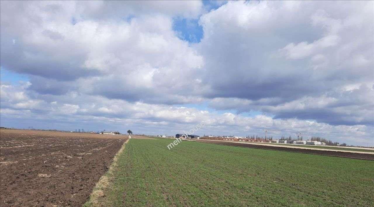 Działka rolna na sprzedaż Nowa Wola  35 800m2 Foto 2