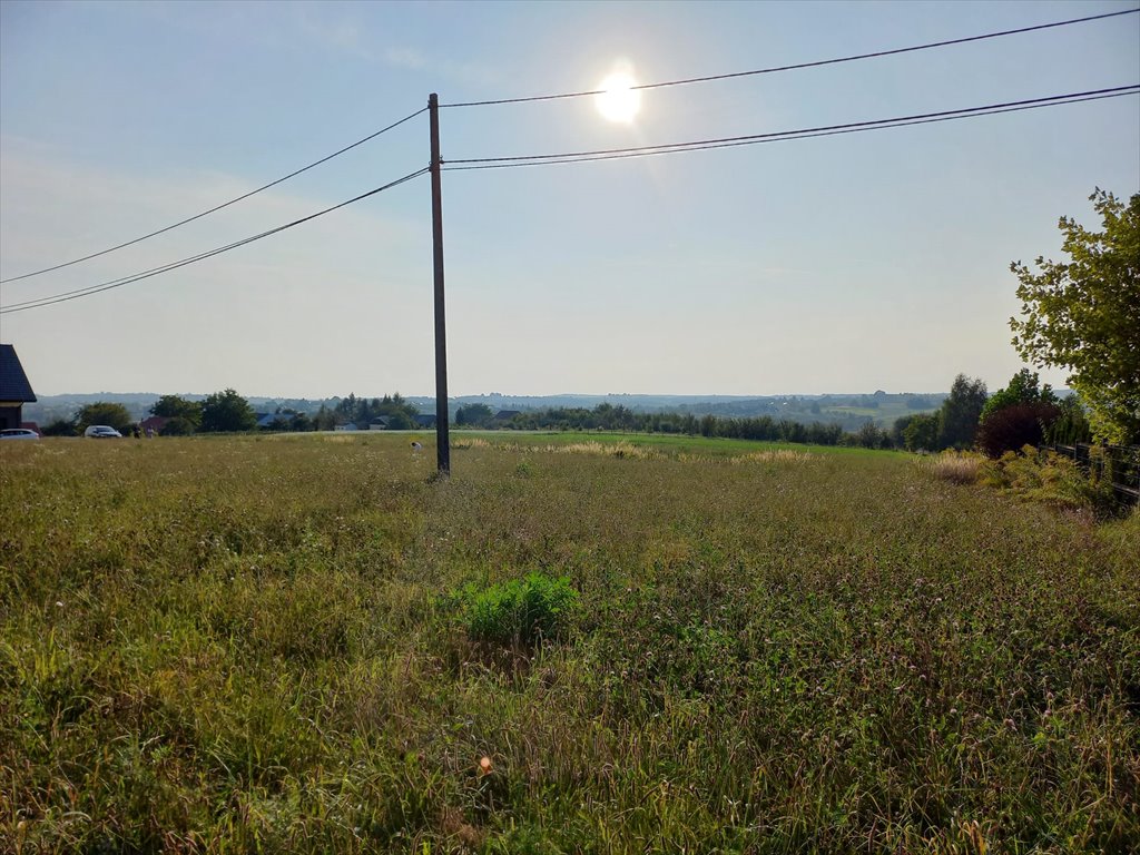 Działka budowlana na sprzedaż Świńczów, Świńczów  1 125m2 Foto 4