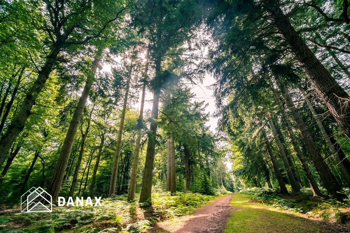 Działka inna na sprzedaż Radwanowice  35 100m2 Foto 1