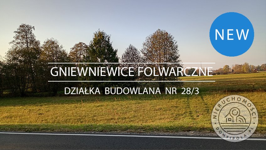 Polecam działkę z pięknymi drzewami i dużym potencjałem inwestycyjnym Gniewniewice Folwarczne  1 848m2 Foto 1