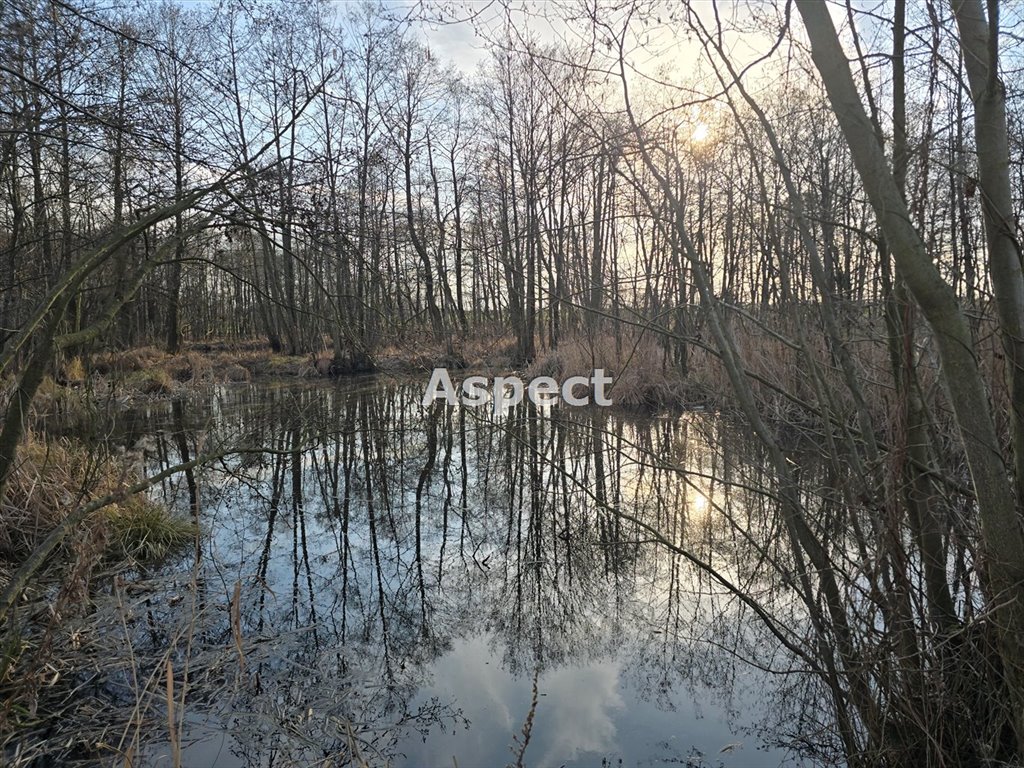 Działka z własnym stawem i lasem, 3400 m², Gostynin Strzałki  3 368m2 Foto 1