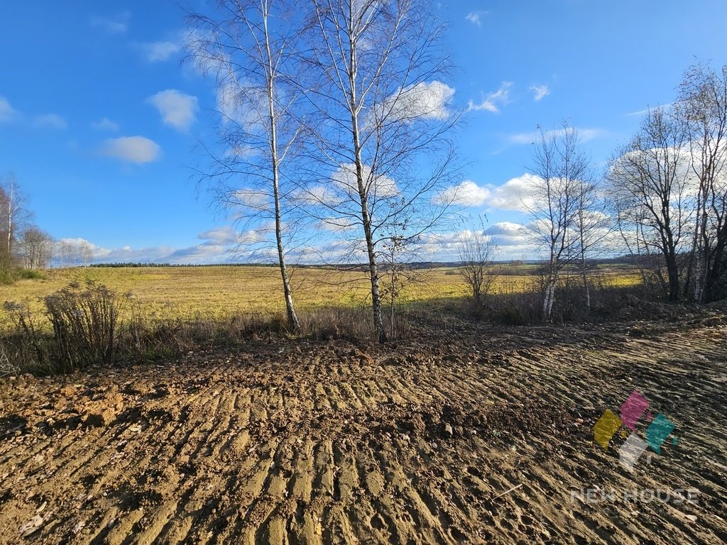 Działka budowlana na sprzedaż Rozgity  3 878m2 Foto 3