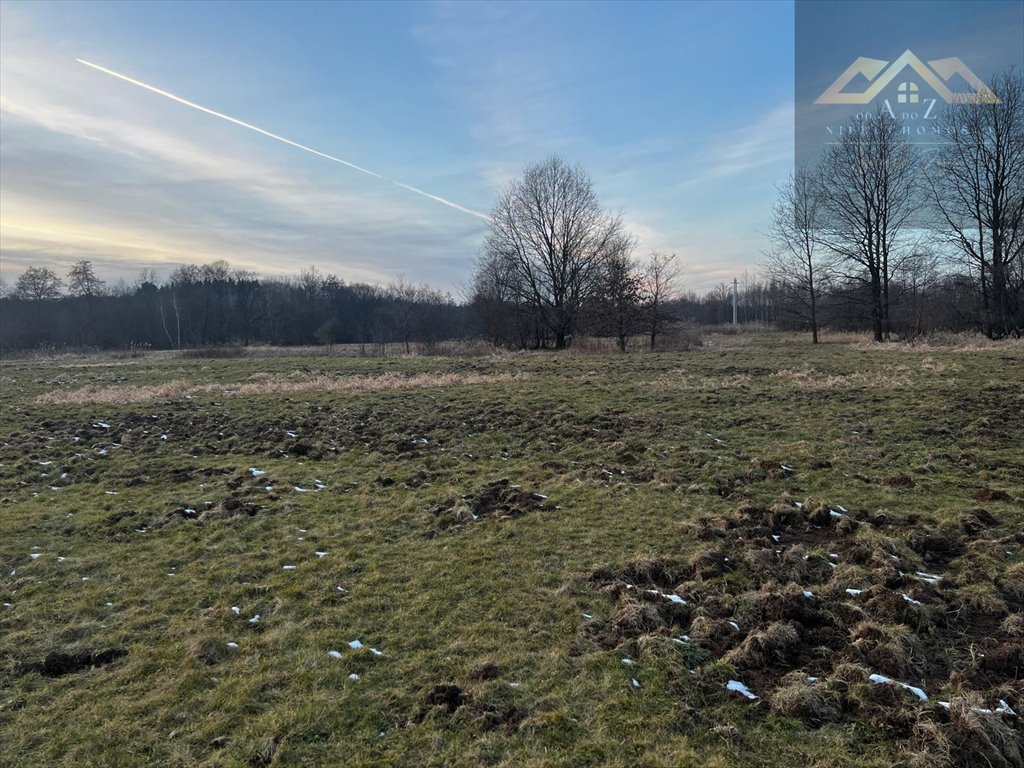 Działka rolna na sprzedaż Perła  2 600m2 Foto 2