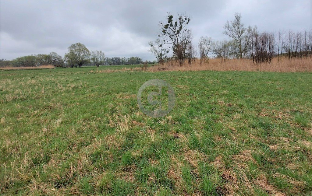 Działka 1126 m² z mediami i warunkami zabudowy - polecam! Prądocin  1 126m2 Foto 1