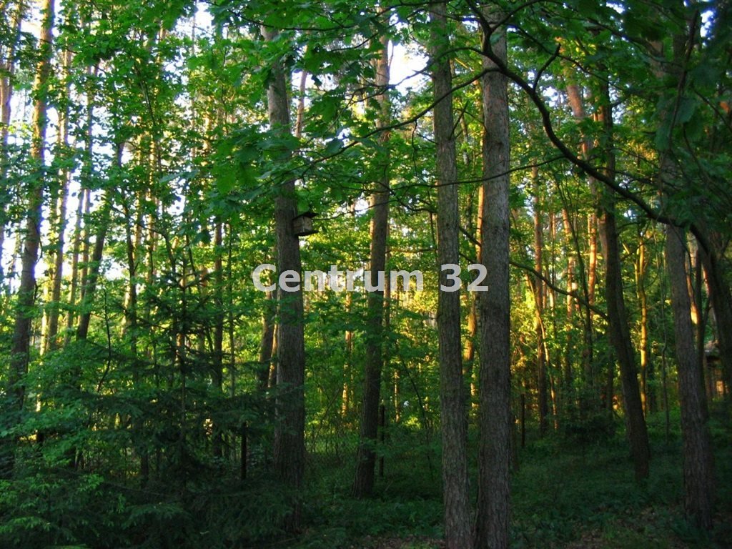 Dom na sprzedaż Żelechów  3 600m2 Foto 5