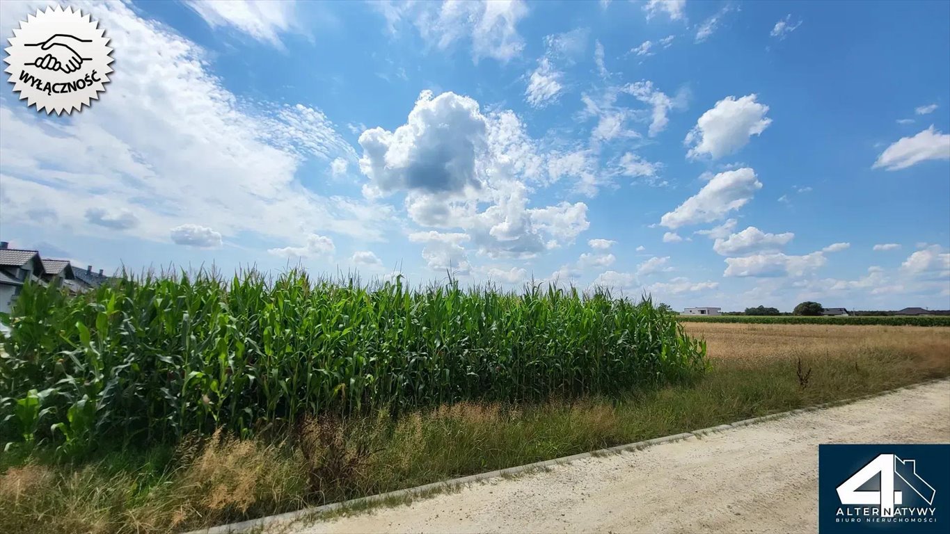 Działka budowlana na sprzedaż Bojszowy, Borowa 30  2 002m2 Foto 7