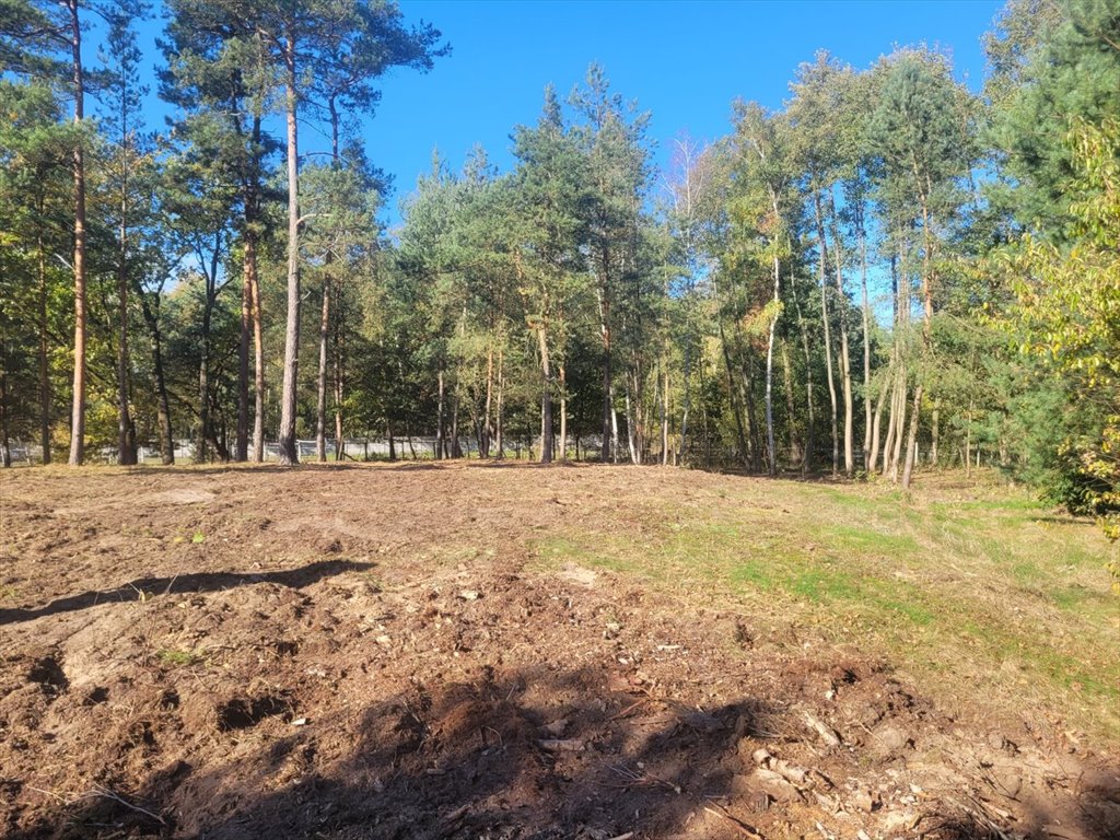 Działka budowlana na sprzedaż Nowe Grabie, Pod Klonami  2 800m2 Foto 14