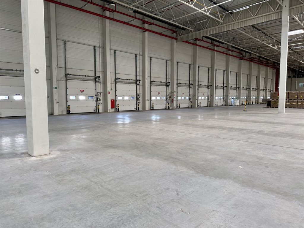 Magazyn na wynajem Warszawa, Białołęka, Annopol  3 710m2 Foto 4