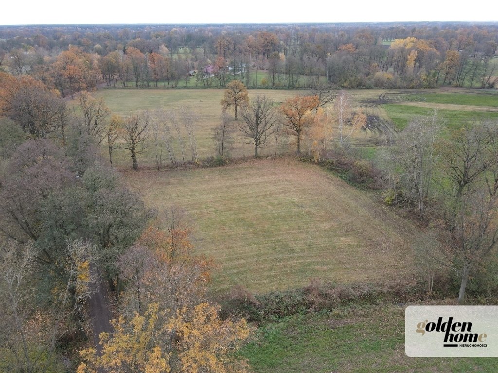 Działka budowlana na sprzedaż Kąkolewo, Albertowsko  5 000m2 Foto 9