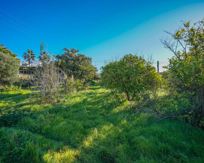 Działka budowlana na sprzedaż Hiszpania, Javea, Hiszpania, Valls  6 832m2 Foto 5