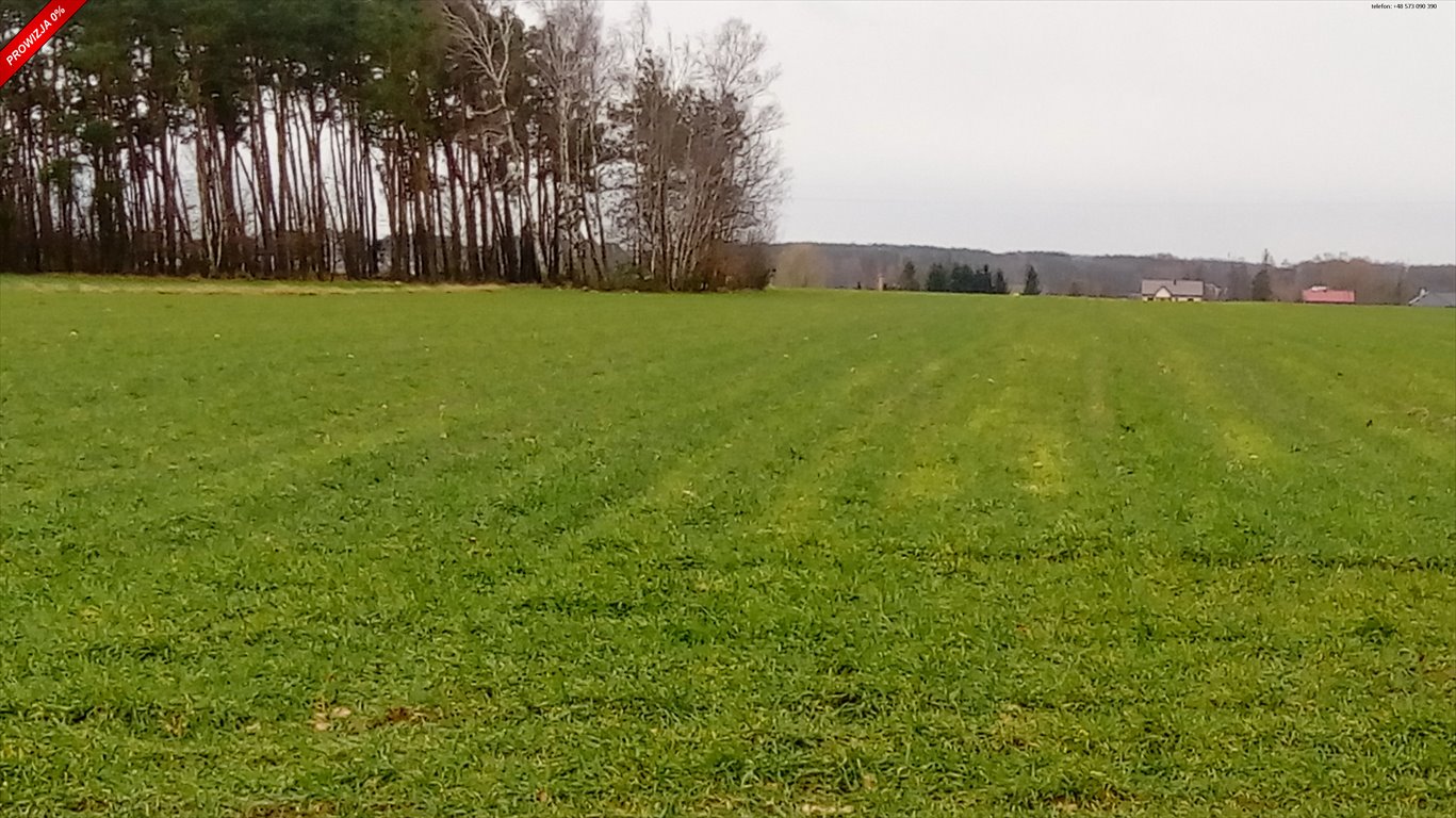 Działka inna na sprzedaż Proboszczewice  39 800m2 Foto 1