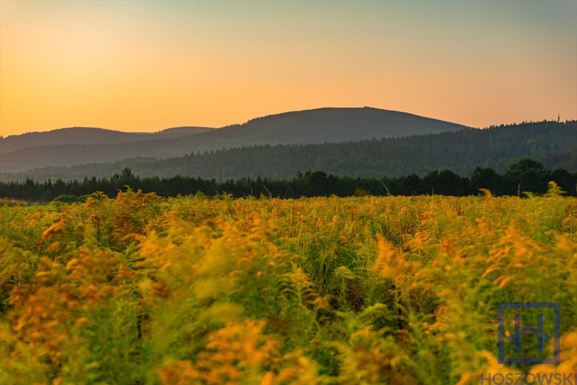 Działka budowlana na sprzedaż Świeradów-Zdrój, Jarzębinowa  1 500m2 Foto 7