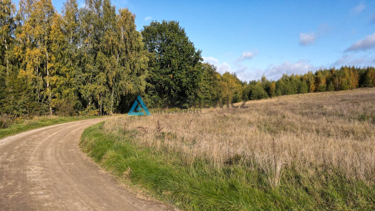 Działka budowlana na sprzedaż Lisewiec, Nad Stawami  3 474m2 Foto 7