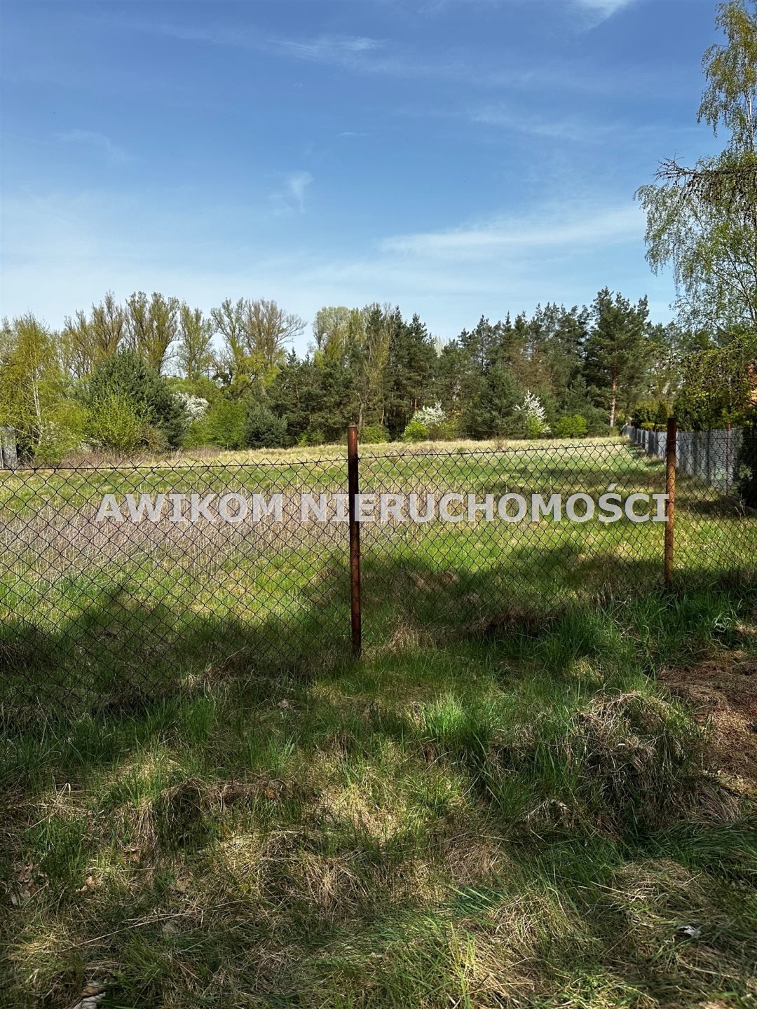 Działka pod usługi turystyki i zabudowę mieszkaniową - polecam! Leonicn, Stare Grochale  10 000m2 Foto 1