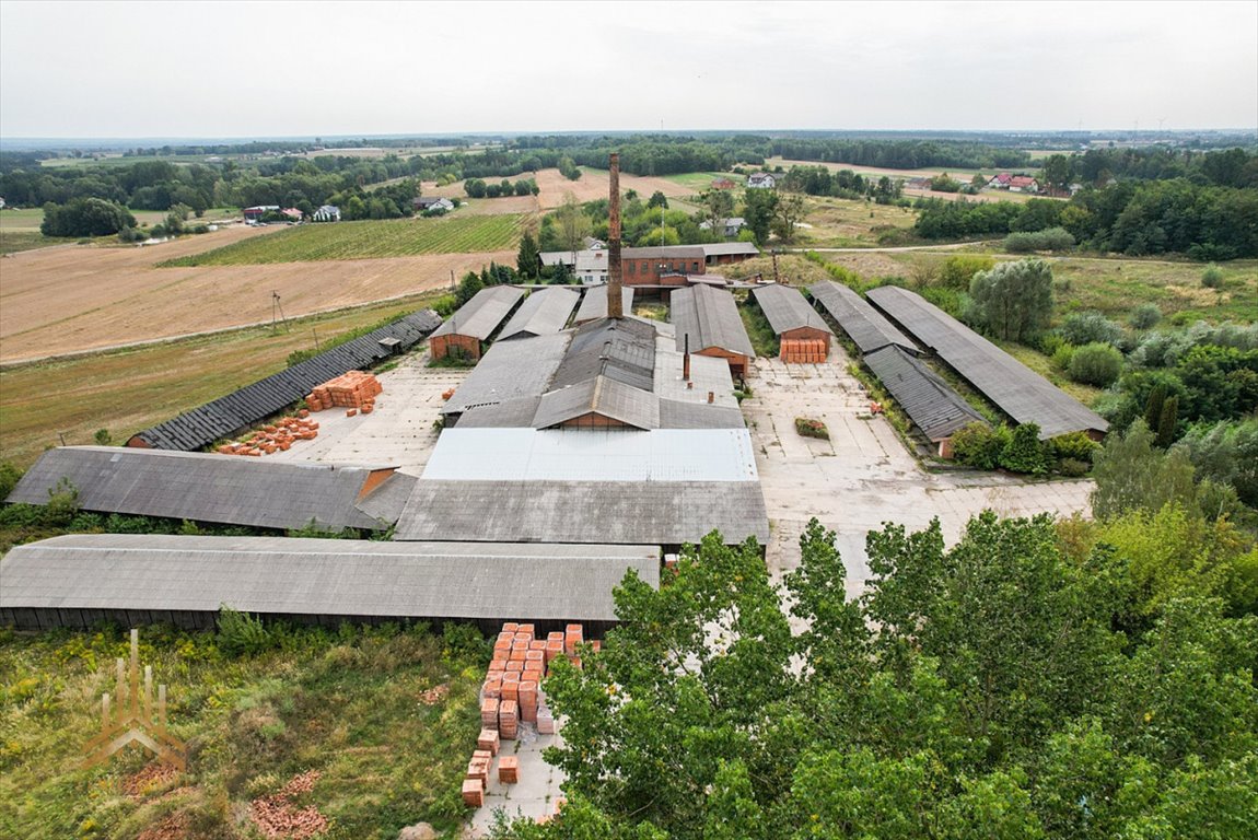 Działka inwestycyjna na sprzedaż Konstantynów  95 000m2 Foto 8