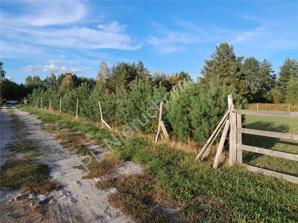 Działka budowlana na sprzedaż Terenia  1 501m2 Foto 5