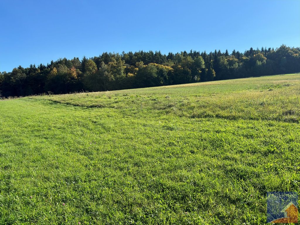 Działka budowlana na sprzedaż Męcina  6 600m2 Foto 7