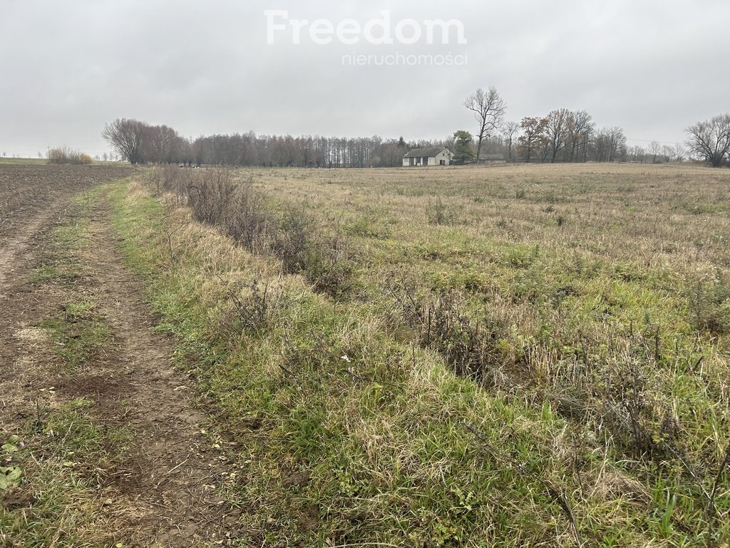 Działka inna na sprzedaż Karbowskie  3 037m2 Foto 11