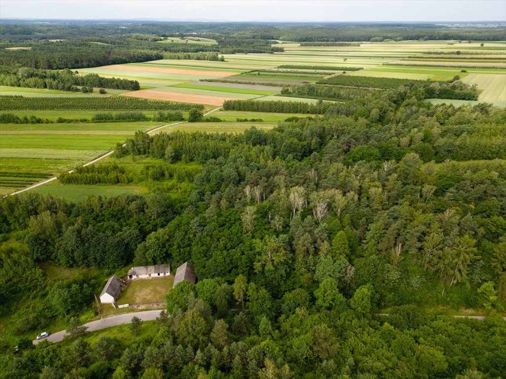 Działka siedliskowa na sprzedaż Okół  3 916m2 Foto 13