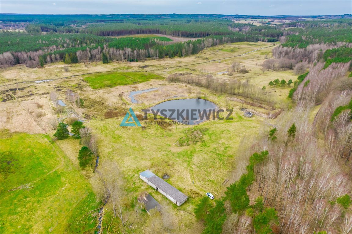 Działka rolna na sprzedaż Zielin  59 900m2 Foto 10