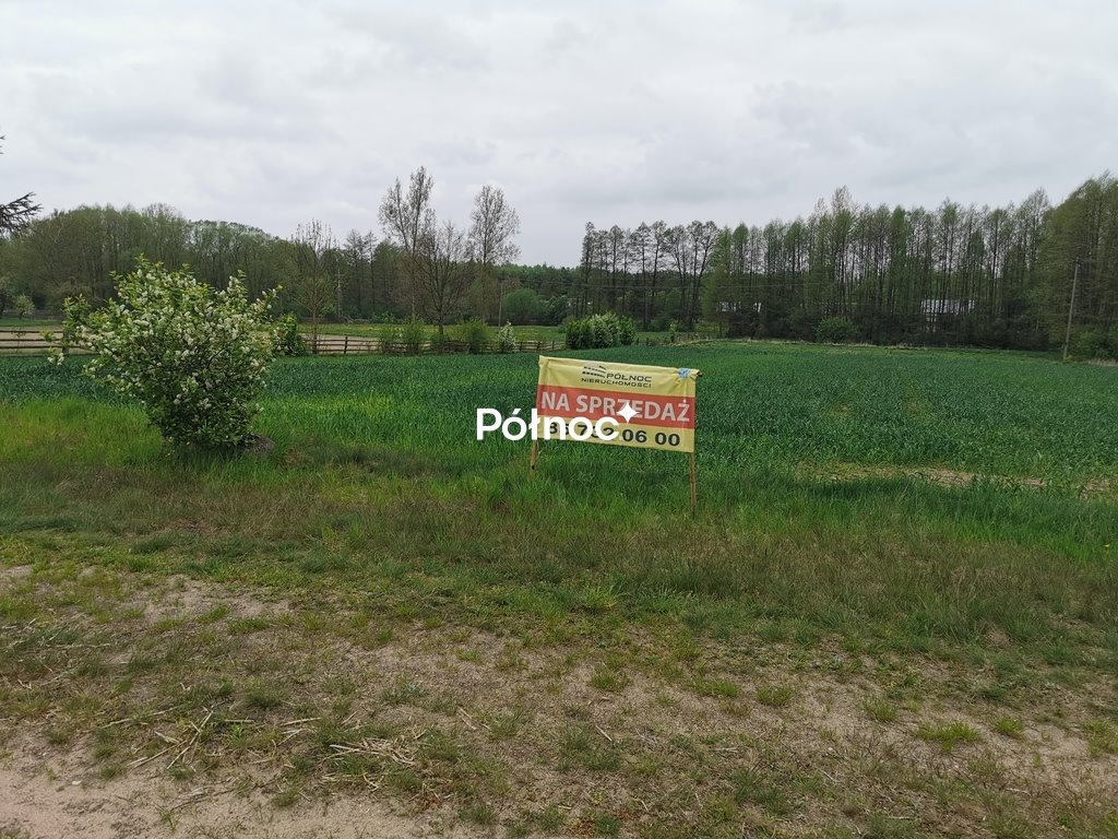 Na sprzedaż działka rolna 6700 m² w Grabowcu z lasem Grabowiec  6 700m2 Foto 1
