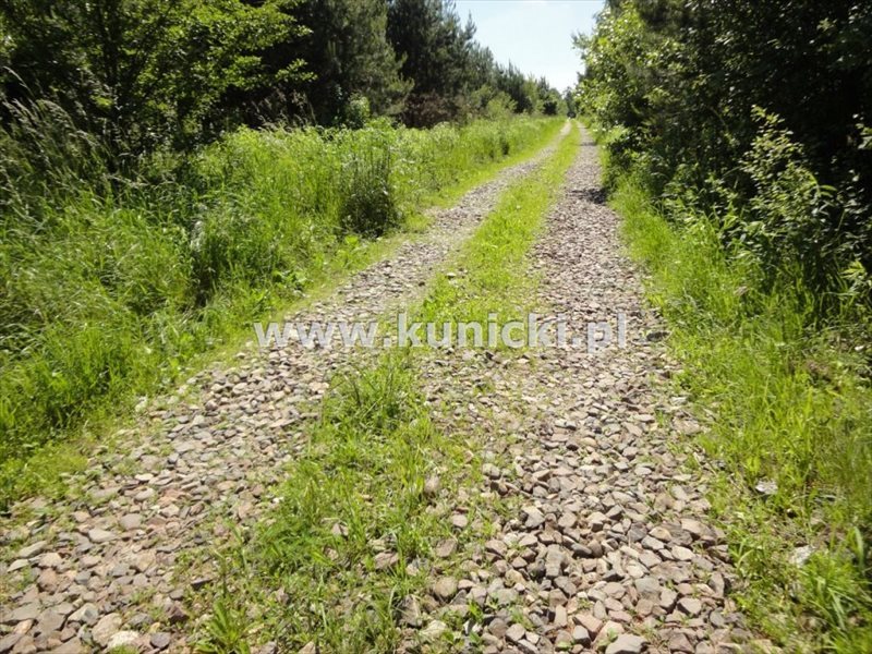 Działka inna na sprzedaż Łoś, Polna 1 200m2 Foto 1 Działka inna na sprzedaż Łoś, Polna 1 200m2 Foto 1