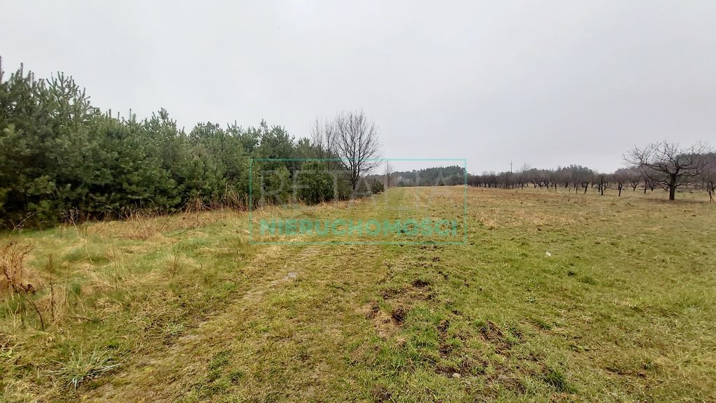 Działki inwestycyjne 35 000 m² z bezpośrednim zjazdem z S8 Adamowice  35 000m2 Foto 1
