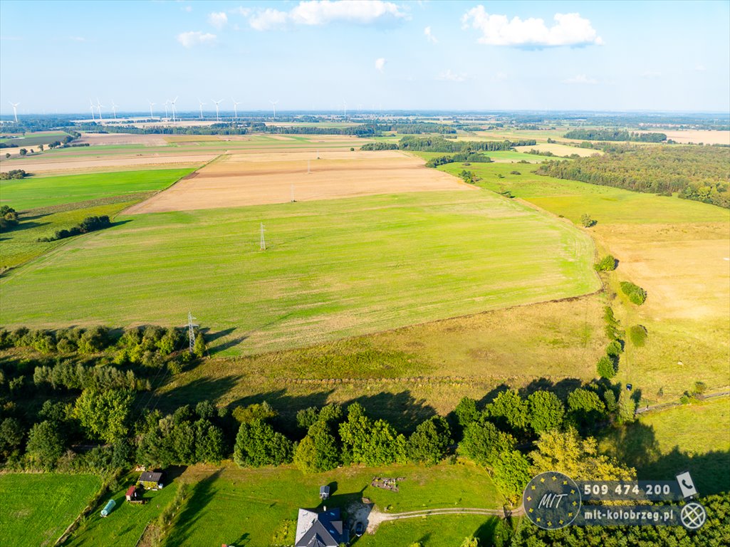 Działka budowlana na sprzedaż Daszewo  1 222m2 Foto 4