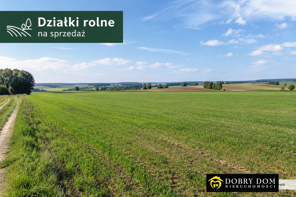 Grunty rolne 4,9 ha w Odnoga-Kuźmy z możliwością podziału - polecam! Odnoga-Kuźmy  109 500m2 Foto 1