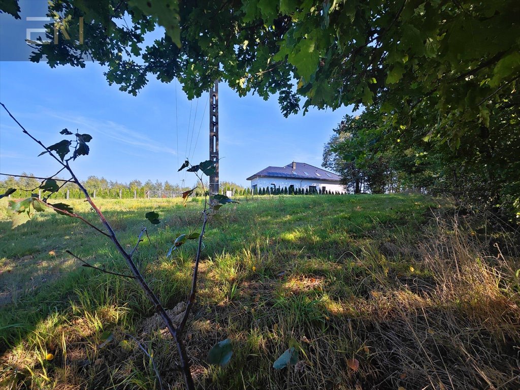 Działka budowlana na sprzedaż Harta  3 766m2 Foto 5