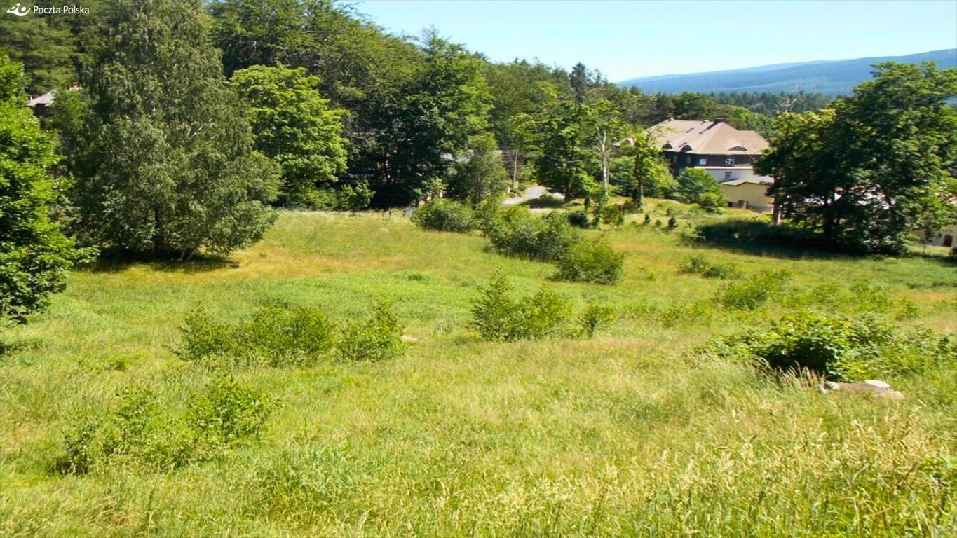 Działka na wynajem w Szklarskiej Porębie, 6885 m² Szklarska Poręba, Gustawa Morcinka  6 885m2 Foto 1