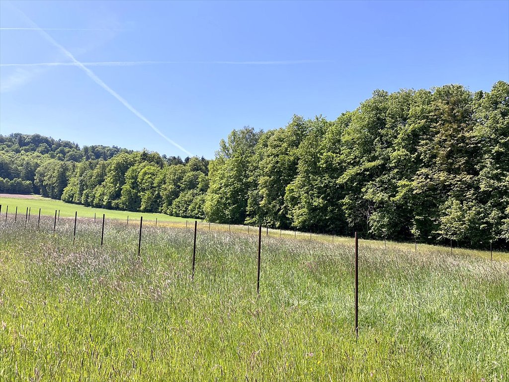 Działka budowlana na sprzedaż Cisownica, Cisownica, Jana Ożany  750m2 Foto 8