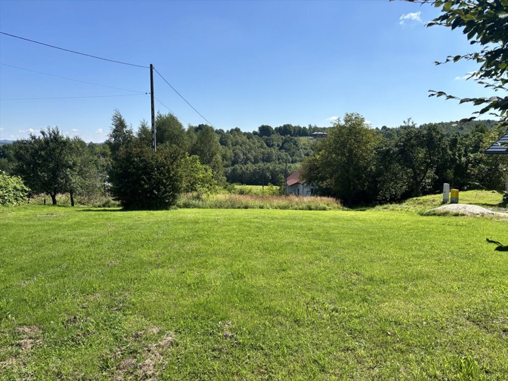 Działka budowlana na sprzedaż Tyczyn, Mickiewicza  2 908m2 Foto 1