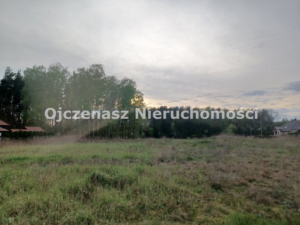 Działka inna na sprzedaż Wałdowo Królewskie  1 167m2 Foto 2