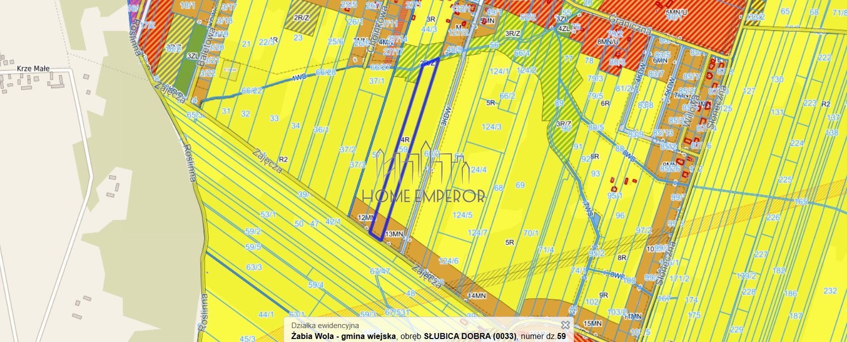 Działka budowlana na sprzedaż Słubica Dobra, Zajęcza  15 700m2 Foto 1