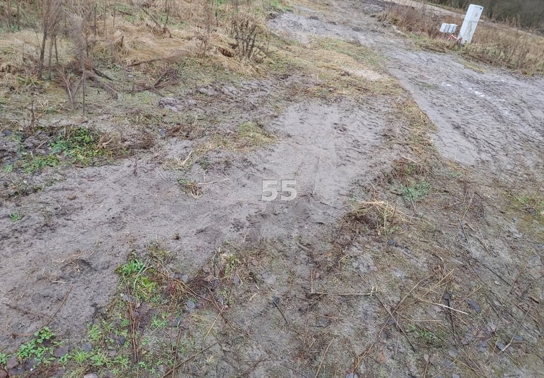 Działka inna na sprzedaż Mostki  1 542m2 Foto 4