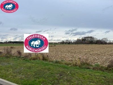 Działka 30 408 m² pod magazyny i usługi, blisko A2 Wiskitki  30 408m2 Foto 1