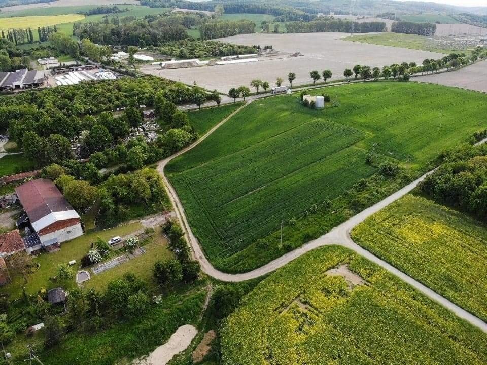 Działka inwestycyjna 0,4 ha z dobrym dojazdem i mediami Mokrzeszów  4 000m2 Foto 1