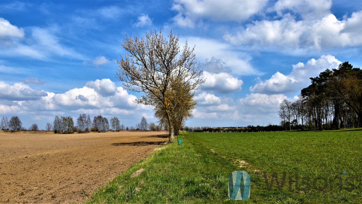 Działka budowlana na sprzedaż Henrysin  3 000m2 Foto 3