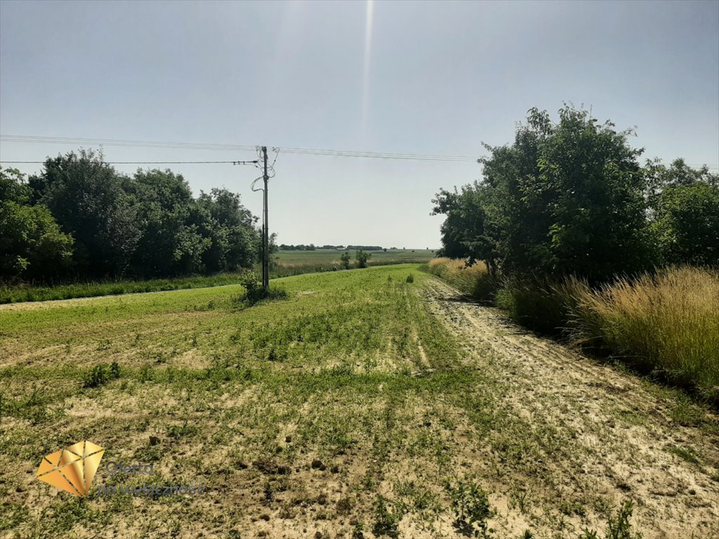 Działka rolna na sprzedaż Krężnica Jara  3 000m2 Foto 5